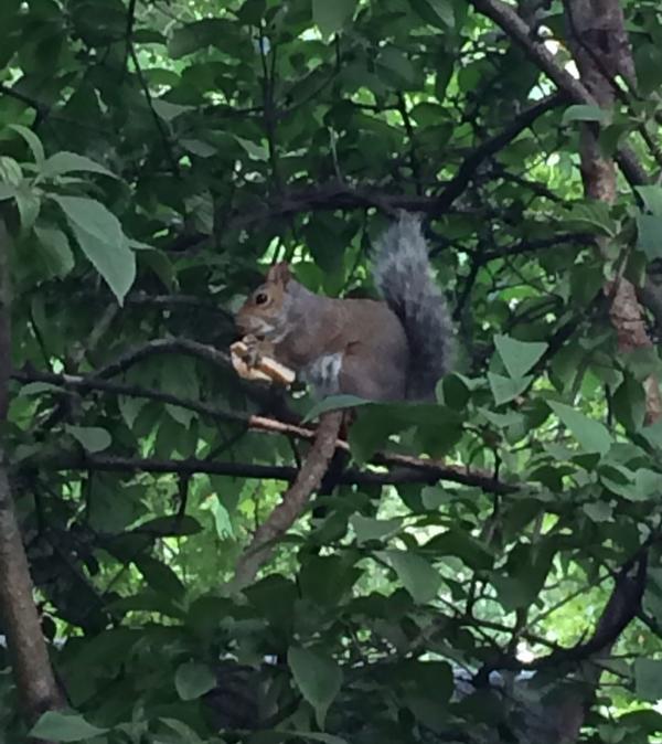 Helen Pilinovsky Erzebet Yellowboy