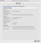 Χρύσα Τσαλικίδου