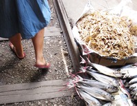 Alex Dally MacFarlane