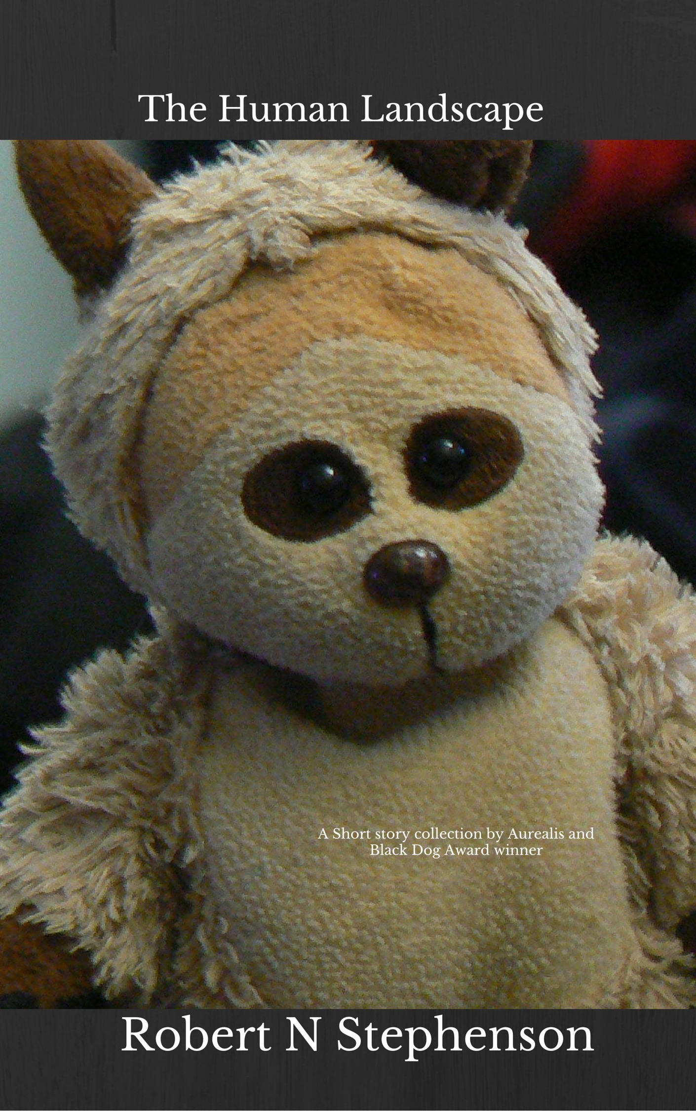 Robert N. Stephenson