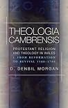 Theologia Cambrensis. Protestant Religion and Theology in Wales, Volume 1 - From Reformation to Revival, 1588-1760